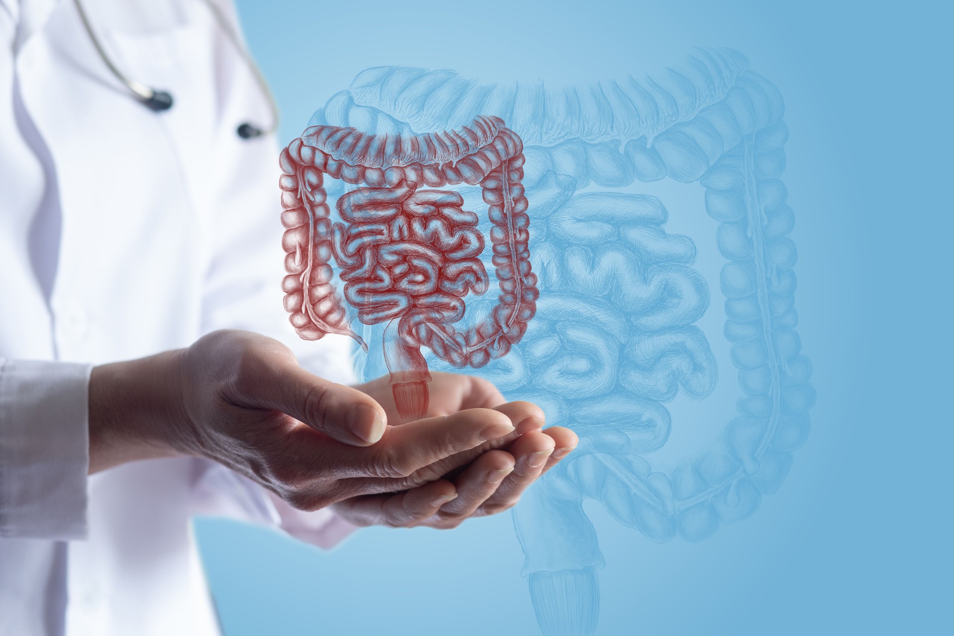 Understanding digestive health with a focus on the intestines.